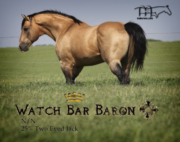 Watch Bar Baron